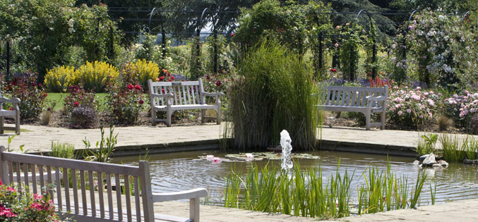 The Gardens of the Rose