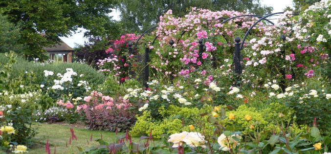 Royal National Rose Society