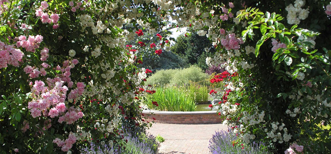 Royal National Rose Society